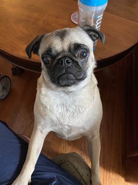 Fiona