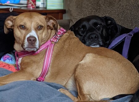 Annie & Aspen