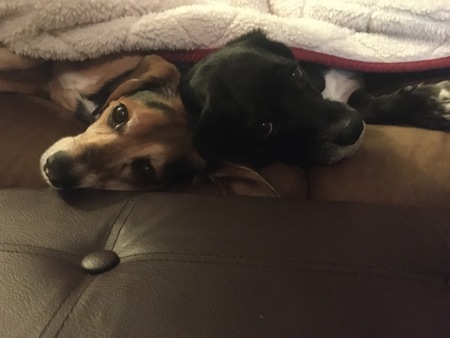 Motley and Baby 