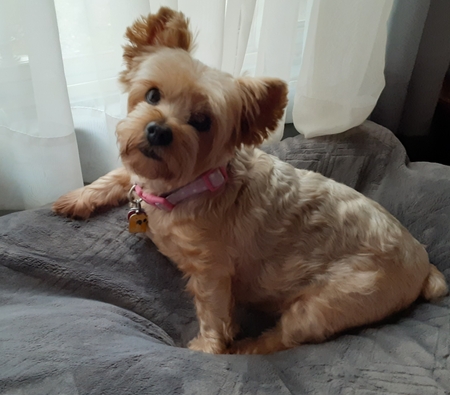 Penny Lane 