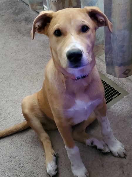 Sophie