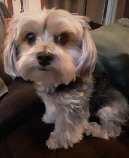 Snickers