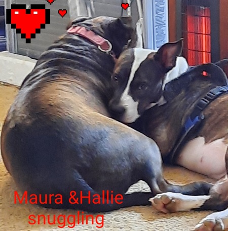 Maura and Hallie