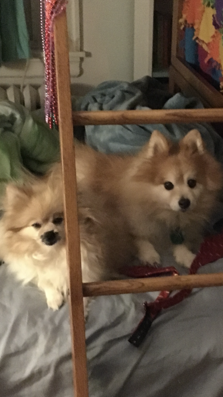 Olive & Popeye
