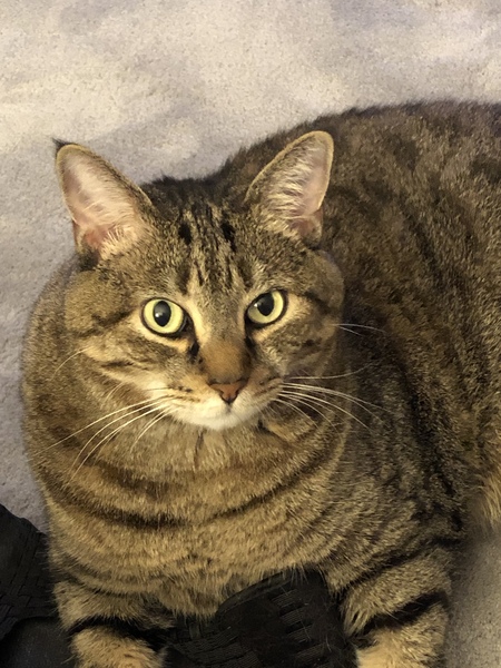 Mooch 