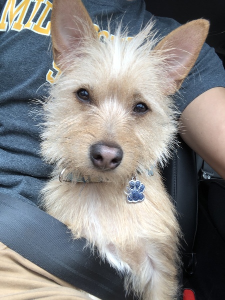 Radar