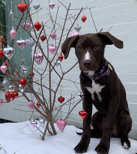 Happy Valentine’s Day from Asta!