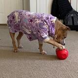 Entry image for LuLu 