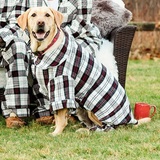 Entry image for Sam B.