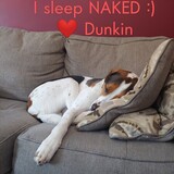 Entry image for Dunkin