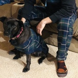 Entry image for Rousey