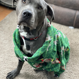 Entry image for Corbin