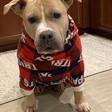 Entry image for Mama 