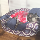 Entry image for Carl