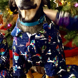 Entry image for Hazel Mae