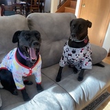 Entry image for Rudy&Jenny