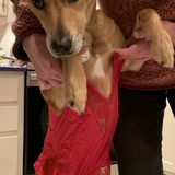 Entry image for Rick