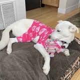 Entry image for Ripley