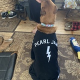 Entry image for Katie