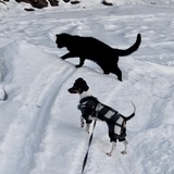 Entry image for Theo