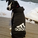 Entry image for Finley