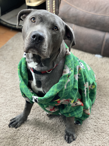 Entry image for Corbin. Clicking this image will show a larger photo