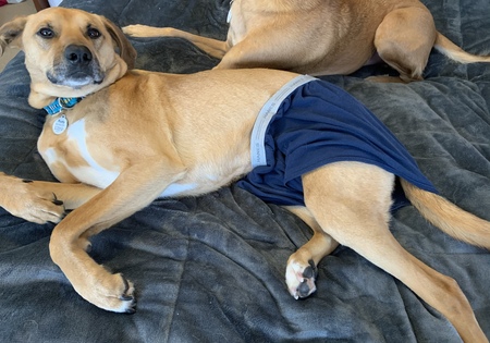 Entry image for Rudy. Clicking this image will show a larger photo