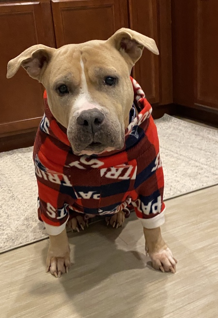 Entry image for Mama . Clicking this image will show a larger photo