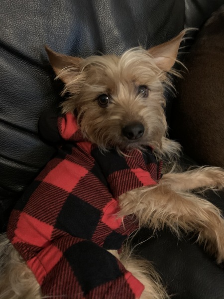 Entry image for Brock. Clicking this image will show a larger photo