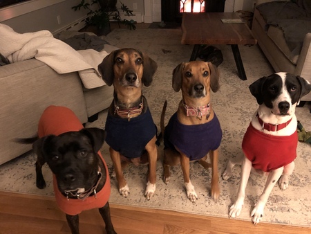 Entry image for Maggie Lewis Fern Coleman. Clicking this image will show a larger photo