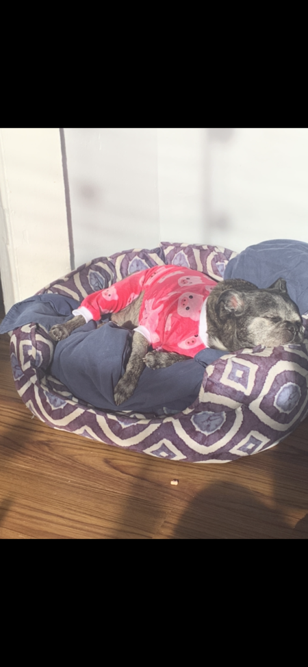 Entry image for Carl. Clicking this image will show a larger photo