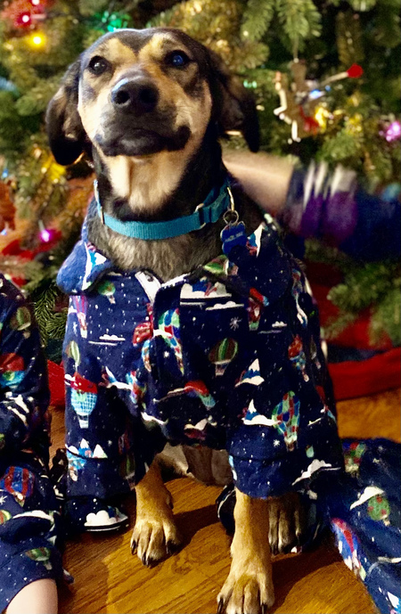 Entry image for Hazel Mae. Clicking this image will show a larger photo