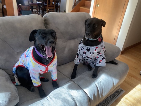 Entry image for Rudy&Jenny. Clicking this image will show a larger photo