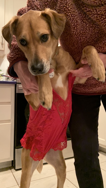 Entry image for Rick. Clicking this image will show a larger photo