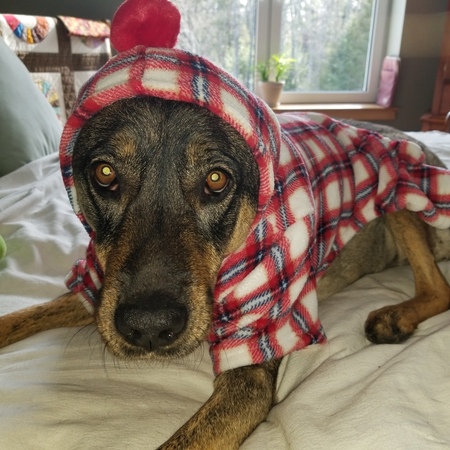 Entry image for Harbor ("Little Red Riding Hood"). Clicking this image will show a larger photo