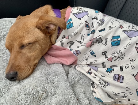 Entry image for Maya. Clicking this image will show a larger photo