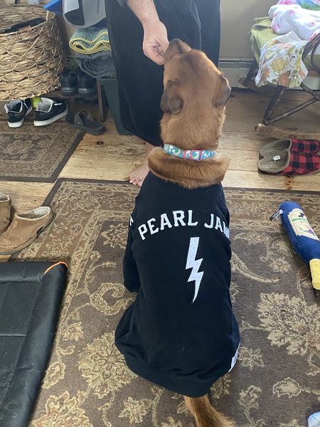 Entry image for Katie. Clicking this image will show a larger photo