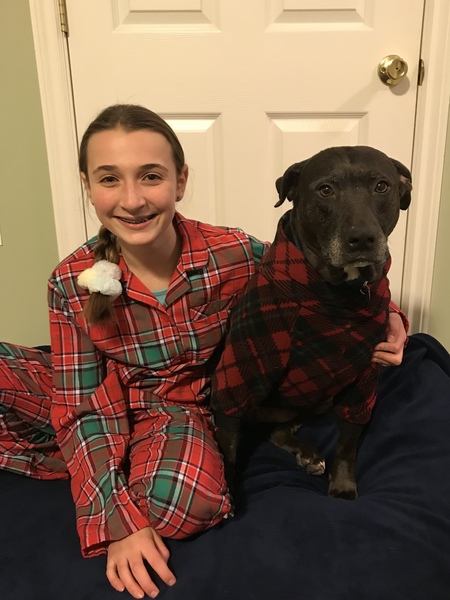 Entry image for Ophelia . Clicking this image will show a larger photo