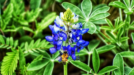 Let's bee together 