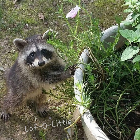 Take time to smell the flowers...