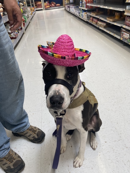 Remi