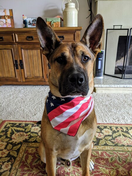 Briggs