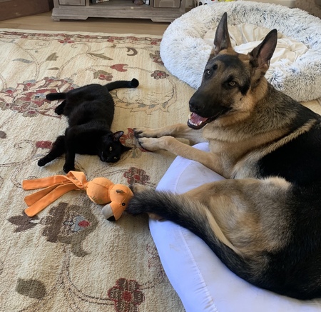 Opie and Sammy
