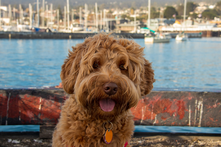 Max