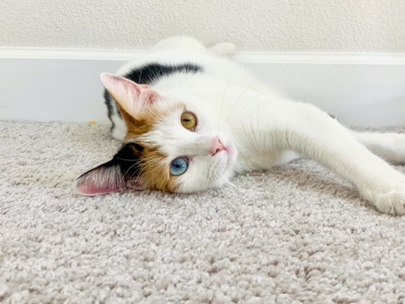 Kairi