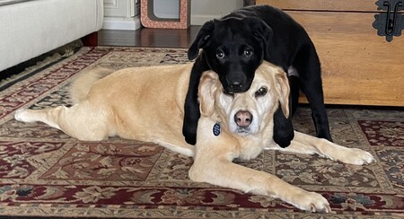 Lucas & Frisco