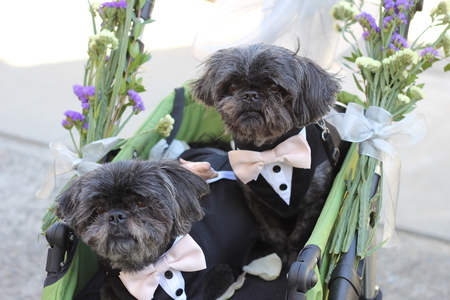 Quigley & Bixby