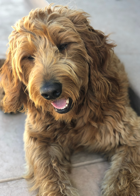Jack