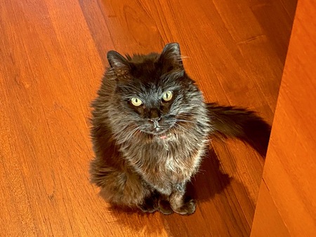 Sam