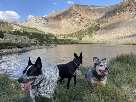 Obie, Naiya, and Birch